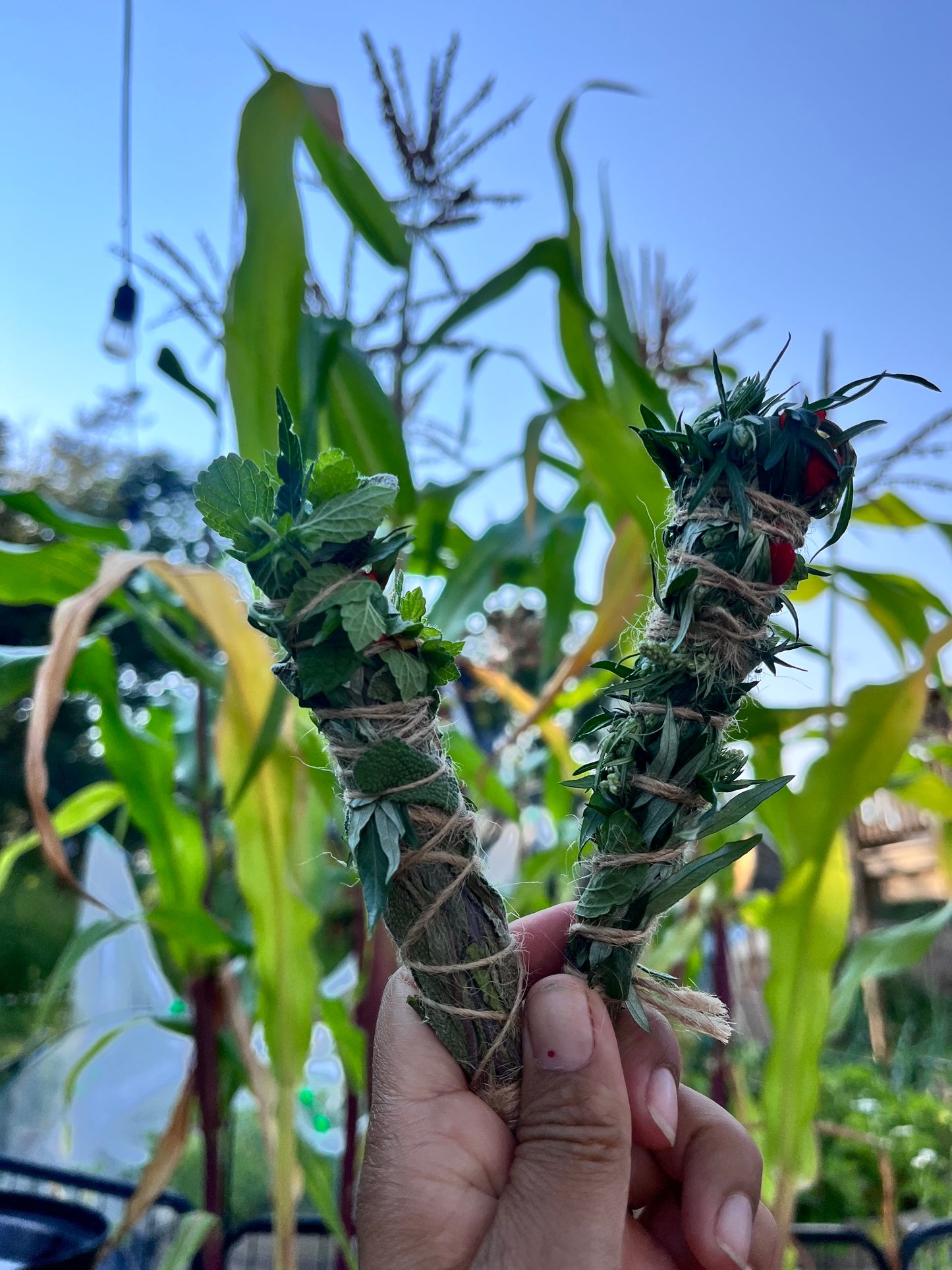 Homegrown Smudging Bundle